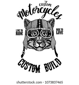 Wild cat Fishing cat Biker, motorcycle animal. Hand drawn image for tattoo, emblem, badge, logo, patch, t-shirt