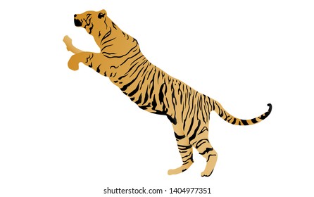 Wild cat great design for any purposes. Abstract vector illustration. Wild cat skin. Tiger skin print. Animal skin illustration. Cartoon vector illustration
