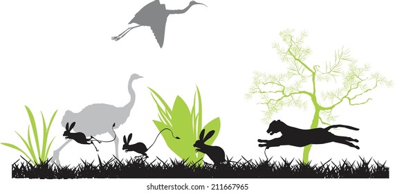 Wild cat hunting