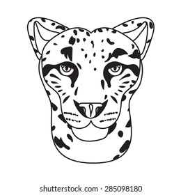 Wild cat, irbis, leopard, snow bars in vector