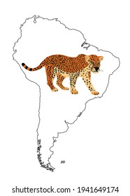 Wild cat jaguar vector silhouette illustration on Southern America map vector silhouette contour isolated on white background.