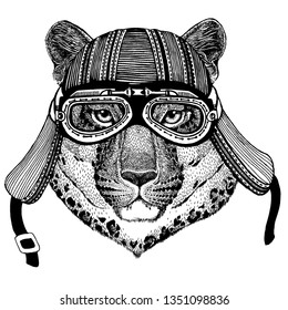 Wild cat, leopard, jaguar, panther, biker, animal wearing motorcycle helmet. Hand drawn image for tattoo, emblem, badge, logo, patch, t-shirt.