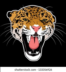 wild cat leopard vector