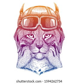 Wild cat, lynx, bobcat, trot. Wild animal. Vector fashion illustration for kids. Children shirt print with biker, motorcycle symbol.