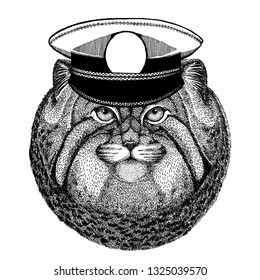 Wild cat Manul Hand drawn image for tattoo, emblem, badge, logo, patch