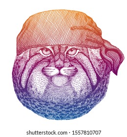 Wild cat. Manul. Wild pirate or biker. Vector animal portrait. Sailor, motorcyclist. Print for children clothing, tee. Kids fashion.