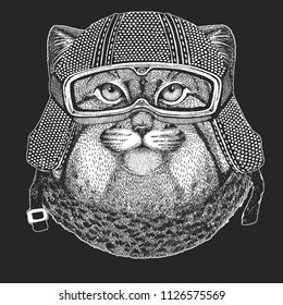 Wild cat Manul Vintage motorcycle hemlet. Retro style illustration with animal biker for children, kids clothing, t-shirts. Fashion print with cool character. Speed and freedom.