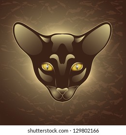 wild cat on brawn background