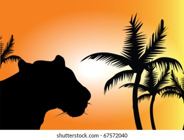 wild cat and palm front of sun