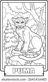 Wild cat puma, outline illustration, coloring page for kids
