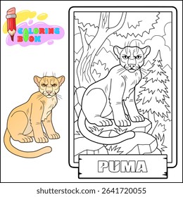 Wild cat puma, outline illustration, coloring page for kids