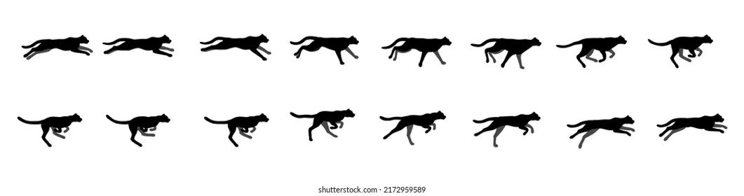 Wild Cat Running Animation. Vector Illustration.