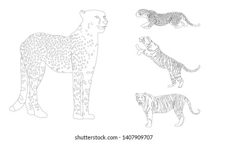 Wild cat set, great design for any purposes. Vector graphic. Colorful vector line icon. Isolated symbol. Isolated vector design. Line style. Wildlife design element. Cat character