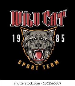 Wild cat .Sport team.college sport style graphic design.