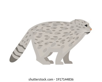 Wild cat with spots. Cartoon cute exotic mammal, fluffy endangered beast of nature, vector illustration of pallas cat isolated on white background