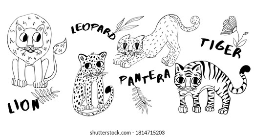 Wild Cats Collection.Vector Set, Lion,leopard,pantera,tiger.Doodle.Exotic cat cartoon character. Hand drawn illustration