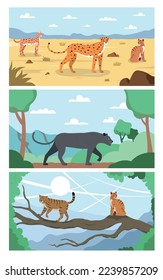Wild cats flat set of three horizontal compositions with tropical sceneries and felines in natural habitat vector illustration