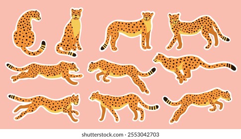 Wild Cats Icon Set Vector Cartoon Illustration with a Cut-out Fields