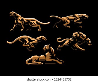 Wild cats. Jaguar, cheetah, leopard, panther. Set of vector illustrations.