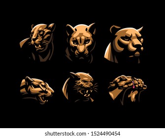 Wild cats. Jaguar, cheetah, leopard, panther. Set of vector illustrations.