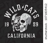 Wild Cats motorcycle vector graphic and collage texture