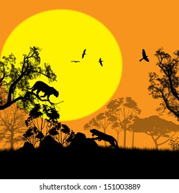 Wild cats in wild nature landscape at sunset, vector illustration