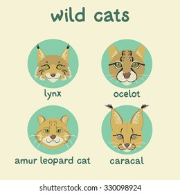 Wild cats set: lynx, ocelot, amur leopard cat, caracal. Vector illustration, can be used in web design, printed on fabric/paper, as an icon/symbol, or as an element in a composition.