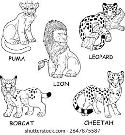 wild cats vector images set