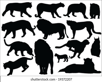 Wild cats vector silhouettes