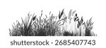 
Wild cattails and reeds on the river shore. Silhouette set.