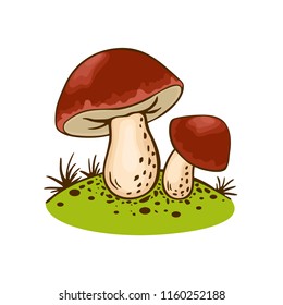 Wild cep Porcini Mushrooms on forest glade in cartoon still life. Vector Food illustration isolated on white background. Organic vegetarian product. Great for menu, label, product packaging, recipe