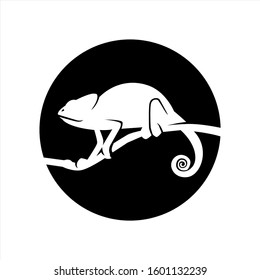 wild chameleon animal vector silhouette