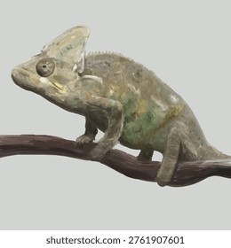 Wild chameleon looking sideways on the branch portrait illustration. Realistic lizard paintings vector with grey background.