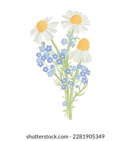 wild chamomile and blue forgt-me-nots, field flowers, vector drawing bouquet of plants at white background, floral element, hand drawn botanical illustration