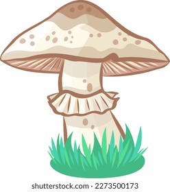 Wild champignon mushroom vector image without background