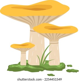 Wild chanterelle. Growing forest mushroom. Cartoon fungus