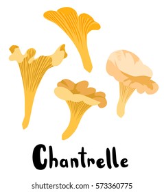 Wild Chantrelle Yellow Mushrooms with Typography