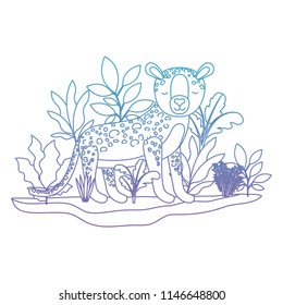 wild cheetah in the jungle scene