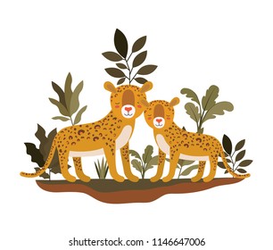 wild cheetahs in the jungle
