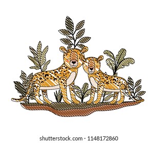 wild cheetahs in the jungle