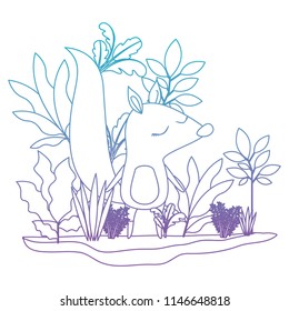 wild chipmunk in the jungle scene
