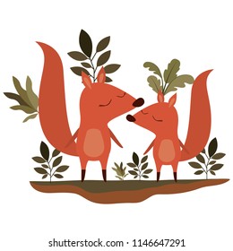 wild chipmunks couple in the jungle