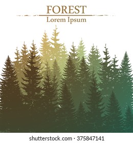 Wild coniferous forest background