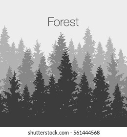 Wild coniferous forest background. Pine tree, landscape nature, wood natural panorama. Outdoor camping design template. Vector illustration