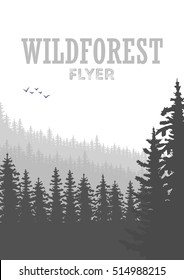 Wild coniferous forest flyer background. Pine tree, landscape nature, wood natural panorama. Outdoor camping design template. Vector illustration