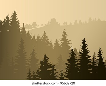 Wild coniferous wood in a morning fog.