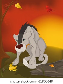 Wild  Coyote  and autumn