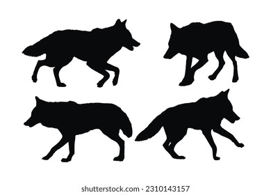 Wild-Coyote-Laufende Silhouette-Set, Vektorgrafik auf weißem Hintergrund. Carnivore Wildwolf-Silhouette-Bundle-Design. Coyote Gehen und Stehen in verschiedenen Positionen. Wolf Ganzkörpersilhouette Kollektion.