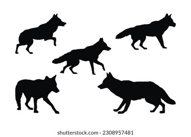 Wilder Coyote Wolf auf weißem Hintergrund, Silhouettensatz, Vektorgrafik. Carnivore Coyote Gehen in verschiedenen Positionen Silhouette-Bundle. Anonyme Schwarzwolfsilhouette. Dunkelcoyote wandelnde Vektorgrafik-Design.