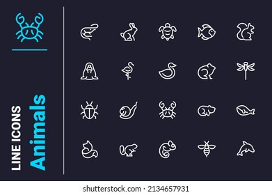 Wild creatures of nature icons set vector illustration. Marine animals, bugs and farm inhabitants line icon. Insects, wildlife and fauna concept